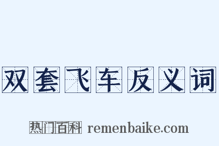 双套飞车反义词是什么意思的图片